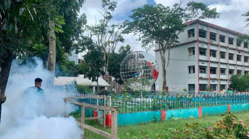 সাধারণ ওষুধেই ডেঙ্গুর বিরুদ্ধে লড়াই