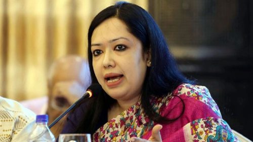 অবৈধ সরকারের ৩০০ এমপির বিরুদ্ধে একাই লড়েছি