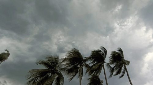 আজ ৭ জেলায় নদীবন্দরে ১ নম্বর সতর্কতা সংকেত জারি