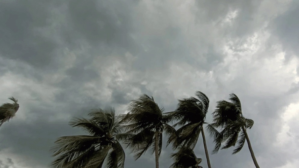 আজ ৭ জেলায় নদীবন্দরে ১ নম্বর সতর্কতা সংকেত জারি